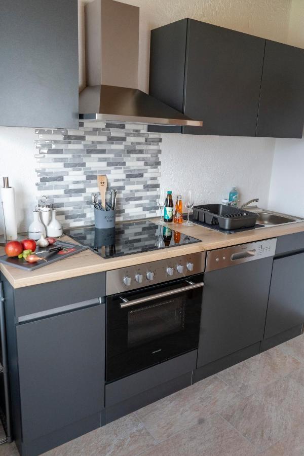 Ferienwohnung Hertreiter In Dingolfing 110Qm Exterior foto