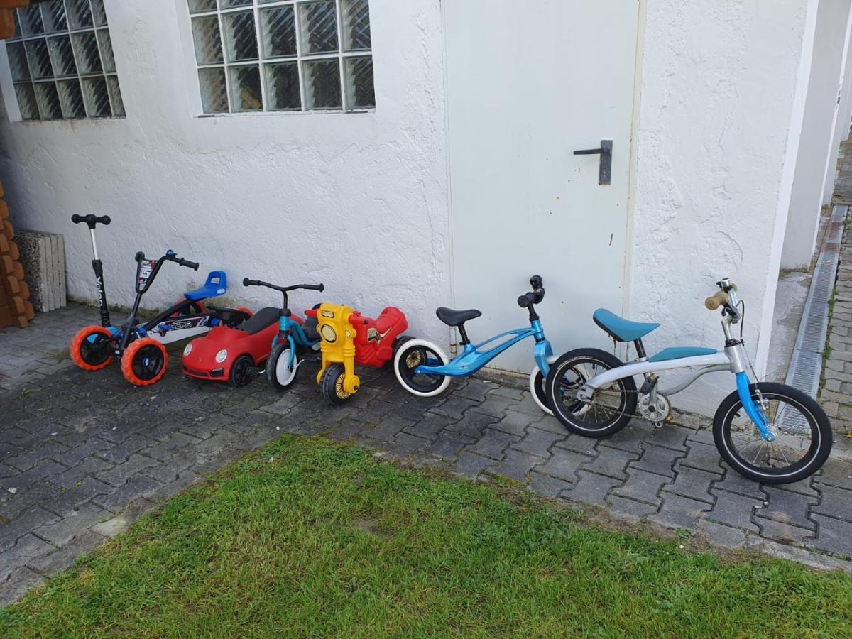 Ferienwohnung Hertreiter In Dingolfing 110Qm Exterior foto